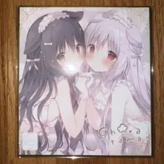 しらたま しらたまこ オンリーショップ ミニ色紙 2点セット しろいいぬ