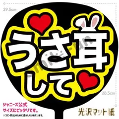 KX-0641 ファンサうちわ コンサートうちわ 文字うちわ 名前文字