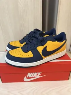 Item thumbnail for item 67bf3d56-3596-4cb4-864c-d995f8836fa5