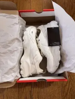 Item thumbnail for item 6a0ca819-da74-4250-b255-c82b21208660