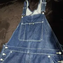 の*こ様 リーバイスレッド　オーバーオール　サロペット