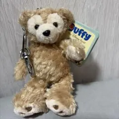 ディズニーワールド　レアダッフィー Disney - ダッフィー フロリダ 40周年 限定品 ディズニーワールドの