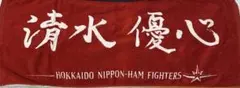 2019北海道日本ハムファイターズ 清水優心 タオル