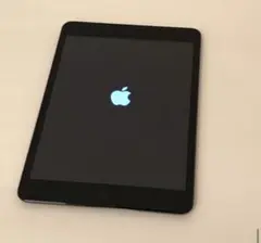 メルカリ　オークション　出品　美品 iPad mini ブラック Apple