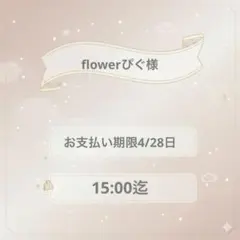 flowerぴぐ様専用