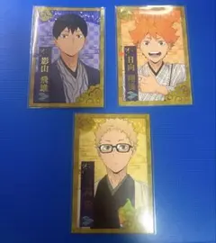 ハイキュー JR東海 レッツゴーキョート 乗車券風カード 影山 日向 月島