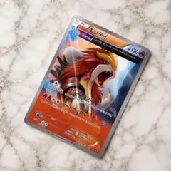 【特価SALE】極美品 エンテイ XYのサムネイル