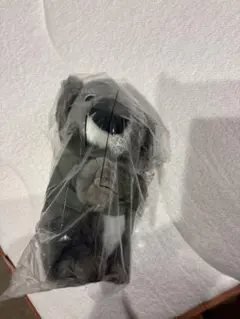 コアラマットレス ノベルティ コアラ ぬいぐるみのサムネイル
