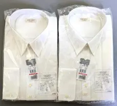 Item thumbnail for item 18da5dda-c74d-47e6-afb0-fa8948e8d5c3