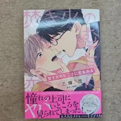 恋する火のむこうに恋をみる