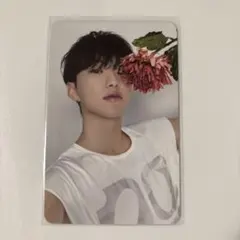 SEVENTEEN ホシ 17 IS RIGHT HERE DEAR盤 トレカ