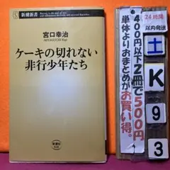 ケーキの切れない非行少年たち　宮口幸治