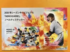 木挽様 リクエスト 2点 まとめ商品