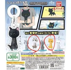 しょんぼり猫 ハチワレ2匹 茶トラ1匹 セット