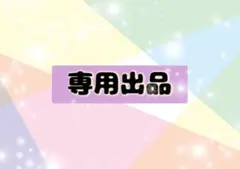 みいら様 リクエスト 2点 まとめ商品