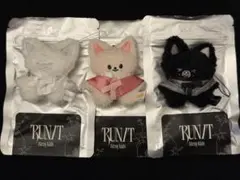 straykids ワルツ ソウルコン マイクロ ぬいぐるみ アイエン 3種