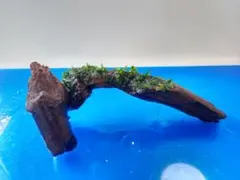 RAI様 リクエスト 2点 まとめ商品