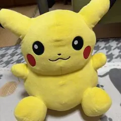 ポケモンセンター マンスリーピカチュウ 2003年 6月 ぬいぐるみ