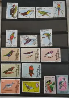 2026年最新】世界の鳥切手の人気アイテム - メルカリ