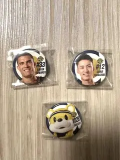 宇都宮ブレックス　25-26 缶バッジ　ブレッキー　高島慎司　ギャビンエドワーズ