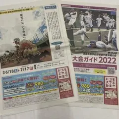 Item thumbnail for item e8b4ab9a-5b0b-470a-8ec9-6eaaa2d807a1