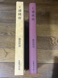 Item thumbnail for item cf967484-bbe3-410c-a1d9-98b75d752e3d