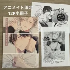 BL漫画　特典付きまとめ　アニメイト　コミコミスタジオ　小冊子　リーフレット　他 BL新刊アンチファニー せとあめ コミコミ特典小冊子 アニメイト