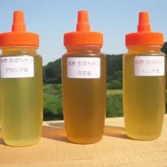 ❣️アカシア蜂蜜&レンゲ蜂蜜&百花蜜　生はちみつ　非加熱ハチミツ