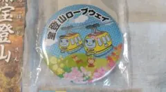 Item thumbnail for item 57537de8-371a-449c-83b8-dcbba6c2f705