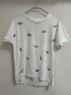 Item thumbnail for item 9895e2d8-0186-4693-a150-a60408c67958