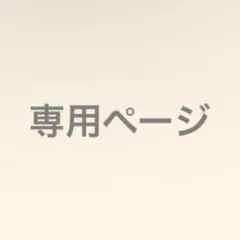 専用ページ