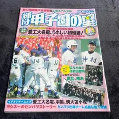 Item thumbnail for item 7ef2a51f-ac74-4abd-b90c-3cb3397076ad