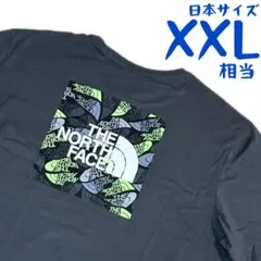【海外限定】ノースフェイス　半袖Tシャツ　日本3L相当　J1170