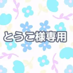 【とうこ様オーダーページ】硬質ケース　デコ・B8