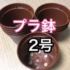 プラ鉢2号茶20個新品未使用[07082329]のサムネイル
