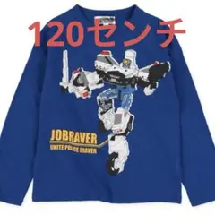 Item thumbnail for item 213e50a0-d065-48be-9ffc-ca6ae83b6da4