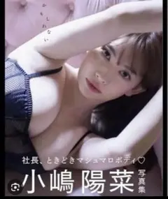 小嶋陽菜写真集 かもしれない　新品未開封　こじはる　B
