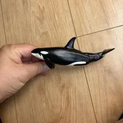 Item thumbnail for item 9f86276d-e4dd-42b7-9ccd-5b281581d894