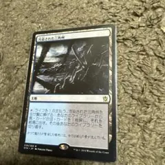 2026年最新】フェッチランドの人気アイテム - メルカリ