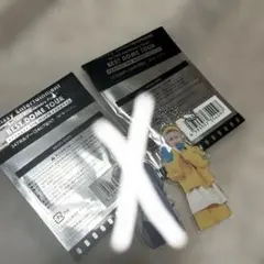 Nissy アクリルキーホルダー　24の7変化