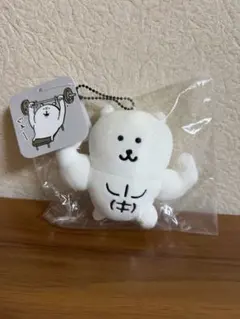 新品未開封ナガノキャラクターズマッチョなナガノのくまマスコット　ナガノマーケット