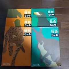 Item thumbnail for item 0738bba9-b880-4053-a377-ffa5b2060590