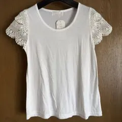 Item thumbnail for item 9d24182f-bc16-4465-8f3c-80753df977ab