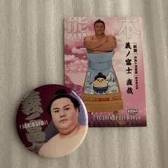 大相撲ガチャ　義ノ富士　ホログラム缶バッジ　おまけカード1枚付きのサムネイル