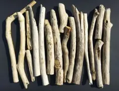 Item thumbnail for item 8ce2d536-440f-46c1-8290-17ab9d6b707b