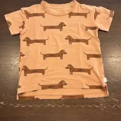 再値下げ★TINY COTTONS ダックスフント柄 Tシャツ 6Y