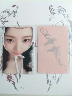 IVE SECRET LOVED IVE Ver. 封入トレカ レイ