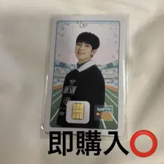 【公式】2025 SEVENTEEN セブチ ケレン NAMANEカード ウォヌ