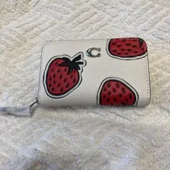 COACH スモールジップアラウンドカードケース