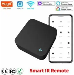 Item thumbnail for item 1c6b3ee7-ecea-44a3-a1c2-64e9771d3930